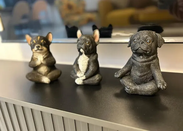 Messe Hv-1 * 杜塞尔多夫