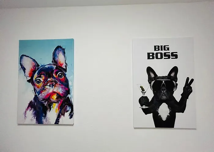 Messe Hv-1 * 杜塞尔多夫