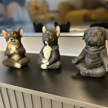 Messe Hv-1 * דיסלדורף