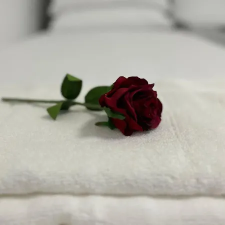 דירה Messe Hv-1 דיסלדורף