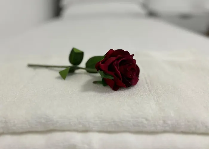 דירה Messe Hv-1 דיסלדורף